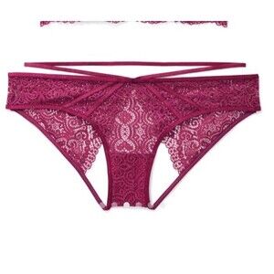 Adore Me Women's Open Back Lace Jenni Bikini Panty Purple ZG3 Black 0X NWT